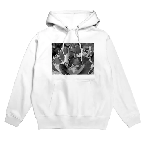 【SPK】 アガベ　チタノタ　ナンバーワン Hoodie