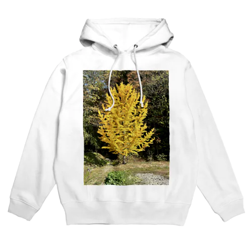 安曇野のイチョウの写真グッズ Hoodie