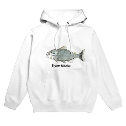 ブリコンパーカー1 マトリンシャン　Brycon falcatus Hoodie