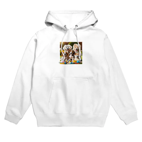 いぬれんじゃー Hoodie