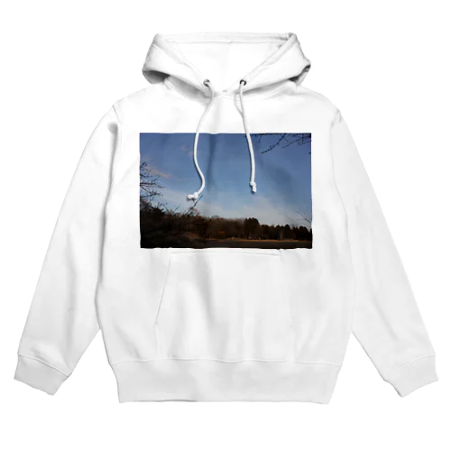 ArtistiCloudMoonPark Hoodie