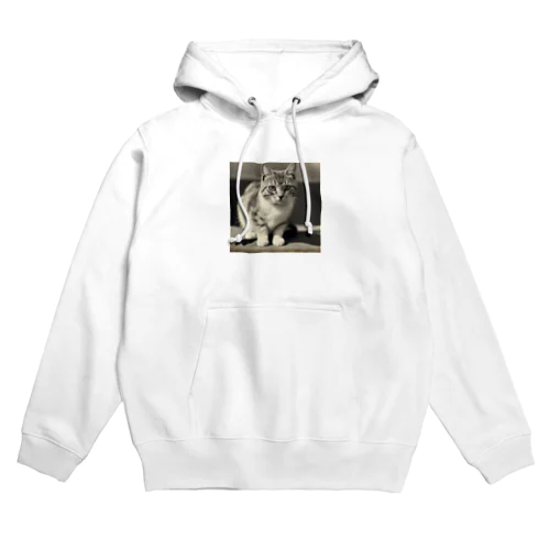 アメリカンショートヘア Hoodie