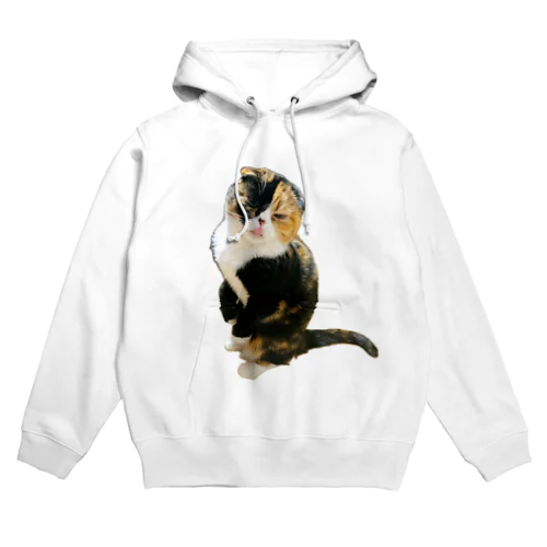 ブサカワの愛猫激写 Hoodie