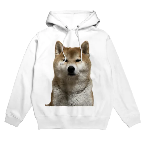 みみちゃんちのもっちゃん3 Hoodie