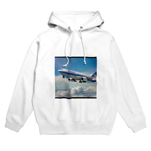 フィリピンの旅客機 Hoodie