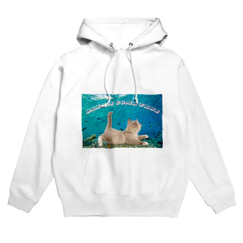 どりーむかむとぅるーだにゃ！ Hoodie