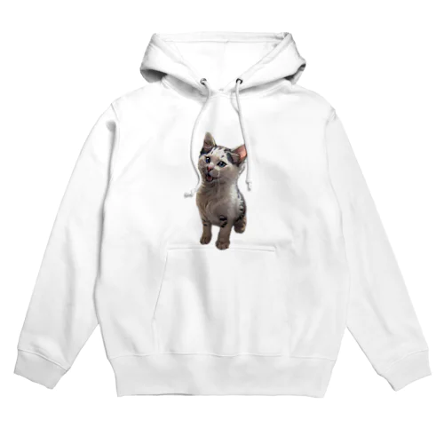 ゴロチ幼少期 Hoodie