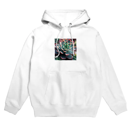 エケベリア１ Hoodie