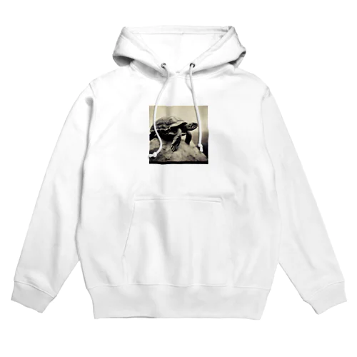 ３、風に立つカメ Hoodie