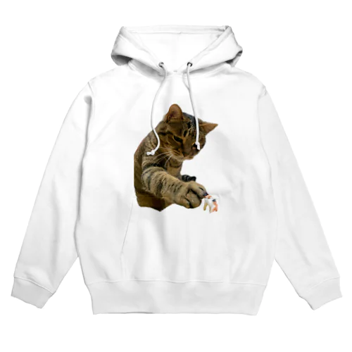 キジトラ猫の直太朗 Hoodie