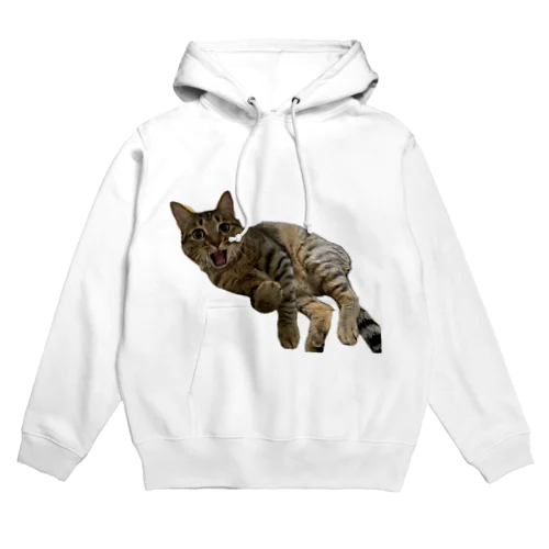 キジトラ猫の直太朗2 Hoodie