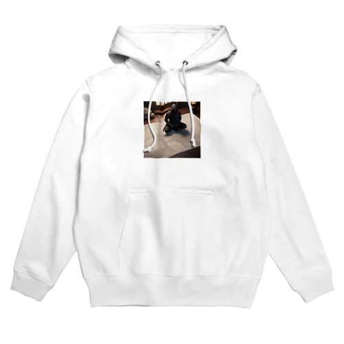 忍者細密計画 Hoodie