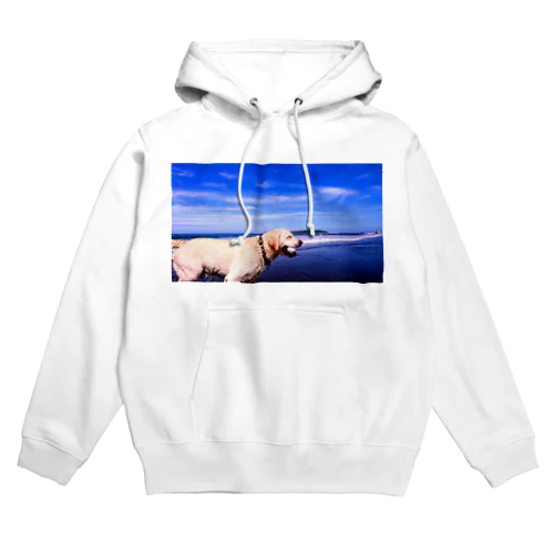 ラブラドール海老蔵 Hoodie