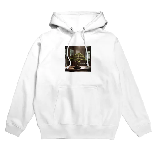 室内のガジュマル Hoodie