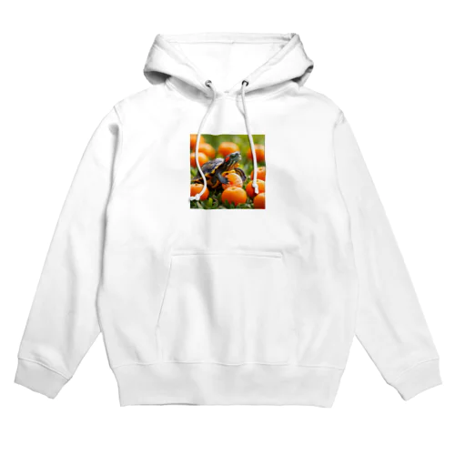 オレンジミドリガメ Hoodie