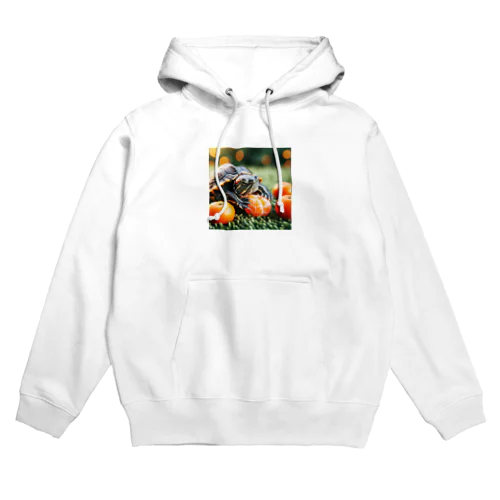 オレンジミドリガメ Hoodie