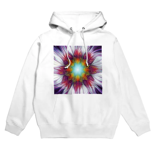 カラフル１０ Hoodie