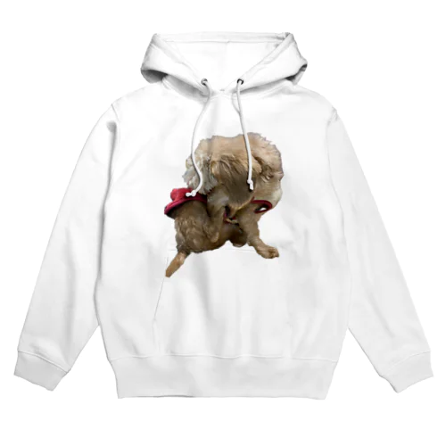 犬　ガジガジ Hoodie