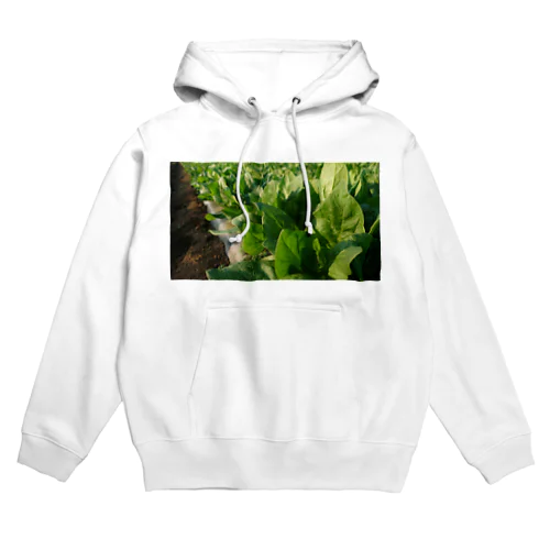 ほうれん草 Hoodie