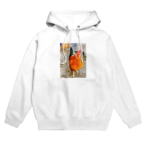 烏骨鶏 Hoodie