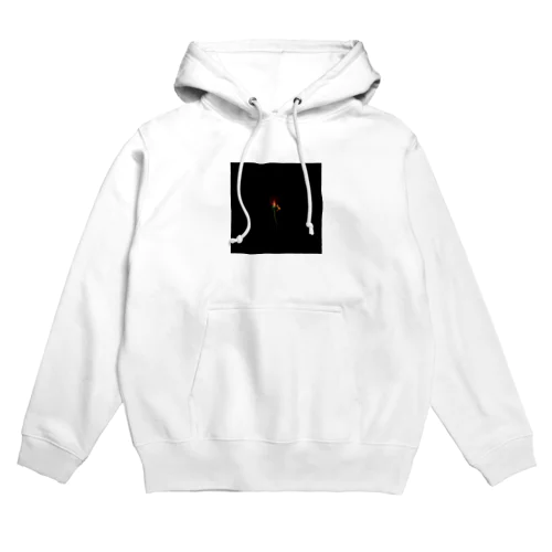 ＨＡＮＡ　ＡＮＮＡ Hoodie