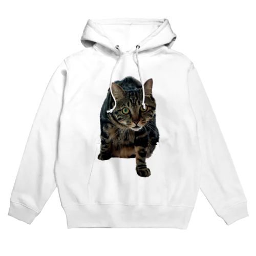 エンジンルーム猫のエンジン２ Hoodie