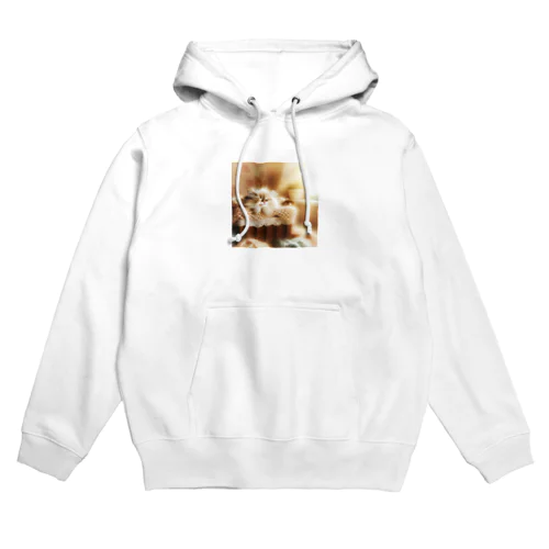 サニーバスケット・ドリーム Hoodie