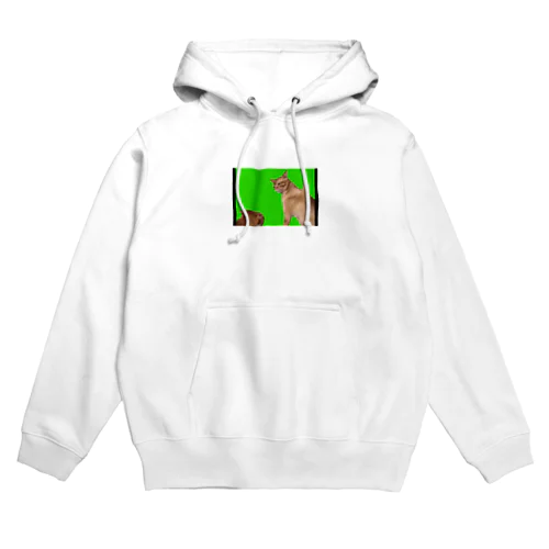 ごめんなさい　猫ミームのパクリ！ Hoodie