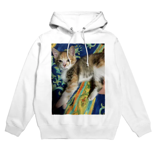 何か用？ねこ Hoodie