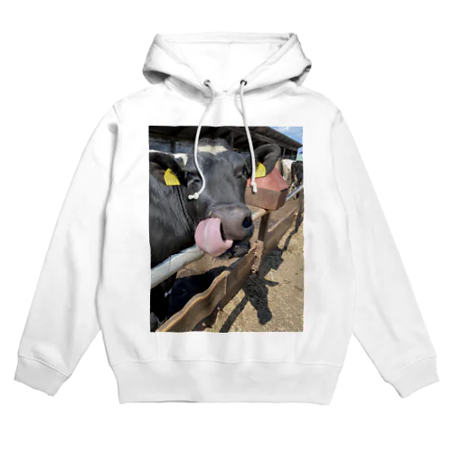 バカな子ほどかわいい Hoodie