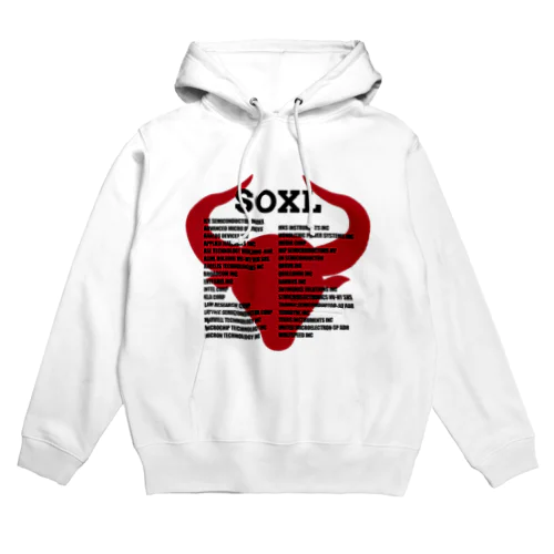 SOXL Holdings Hoodie