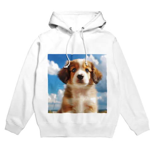 空 Hoodie