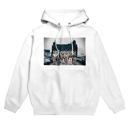 インテリニャンズ Hoodie