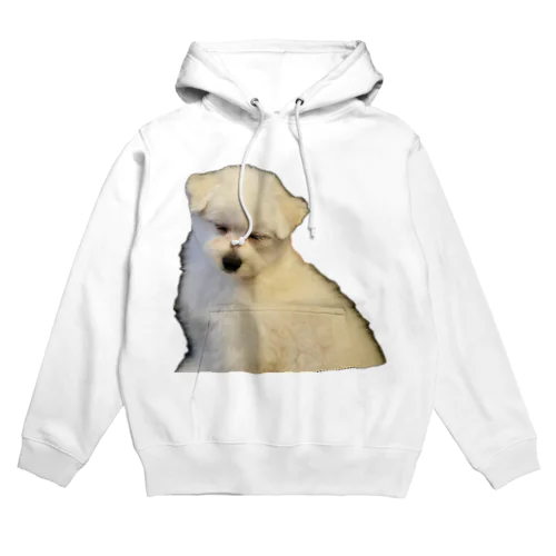 SLEEP DOG Hoodie