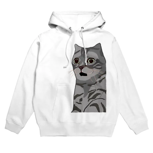 困惑する猫 Hoodie