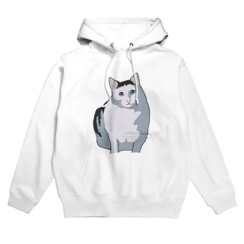 huhcat Hoodie