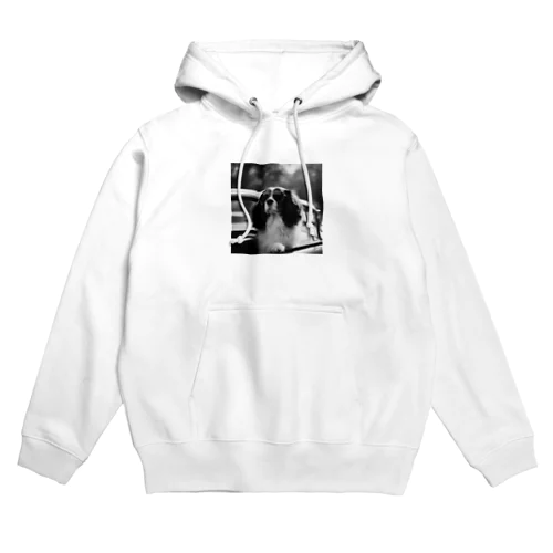 サングラスのBarry Hoodie