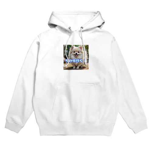 今から行くポメチワ Hoodie