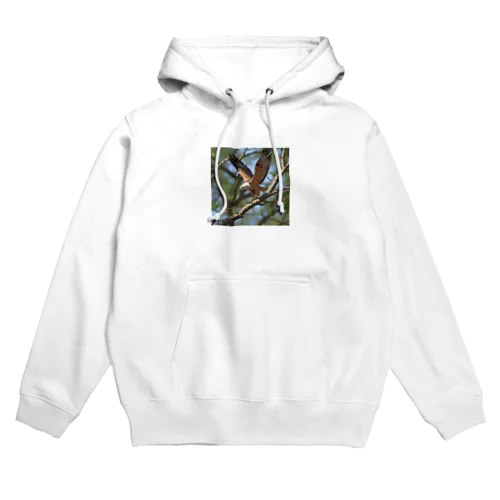 枝から枝へ移動するタカ Hoodie