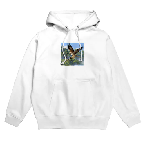 空中でバランスを保っているタカ Hoodie