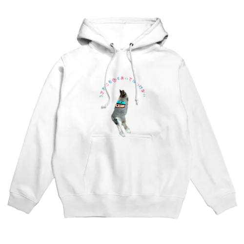 うさぎにものをおいてはいけない Hoodie