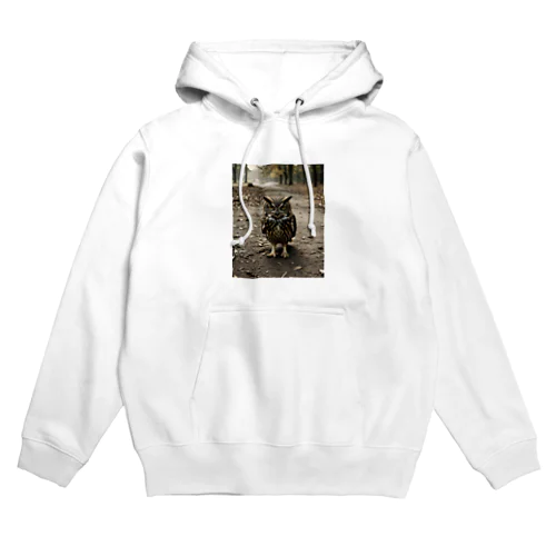 地面を歩くフクロウ Hoodie