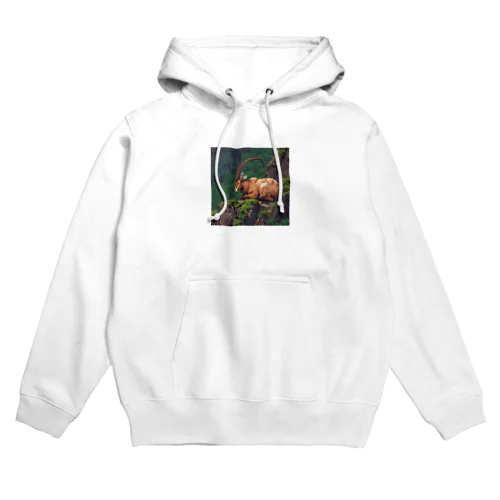 眠っているアイベックスのピクセル化された写真 Hoodie