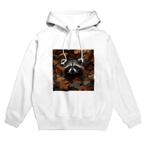 Raccoon Cool Planet Hoodie