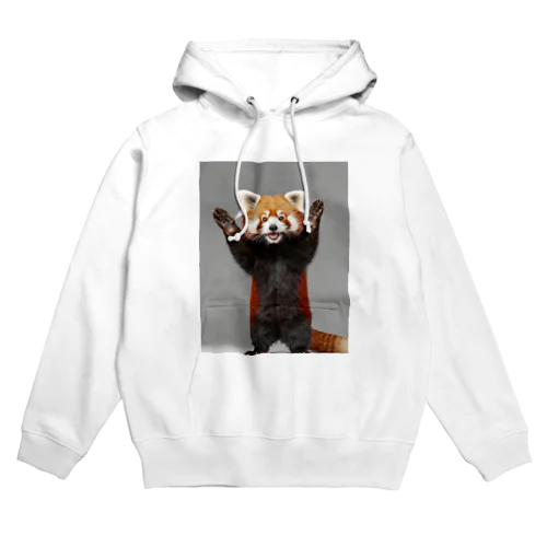 レッサーパンダ🙌 Hoodie