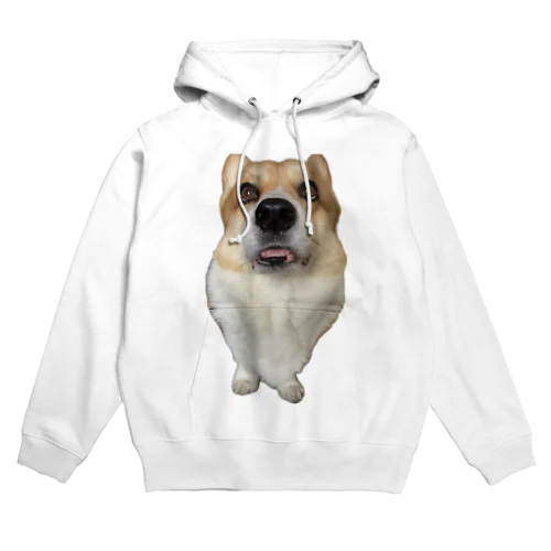 (corgi)らて君のダルダル(コーギー) Hoodie