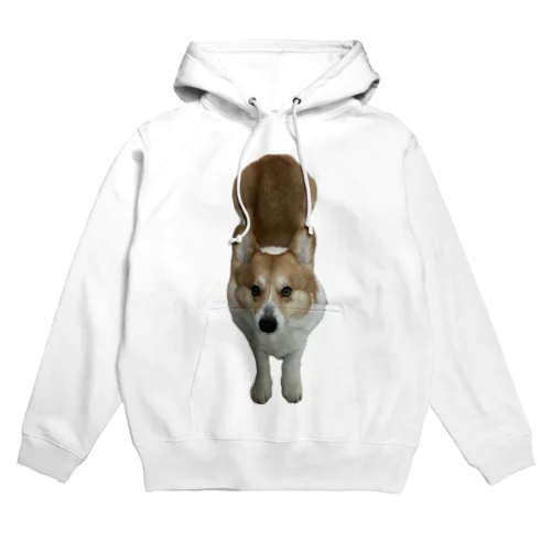 (corgi)散歩前の伸び(コーギー) Hoodie