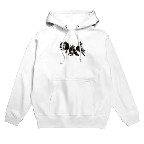 家ねこ悩殺3ポーズ Hoodie