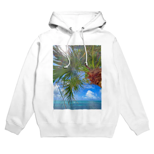 shimmering tropics Hoodie