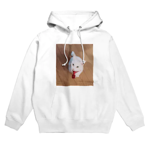 ネクタイ猫 Hoodie